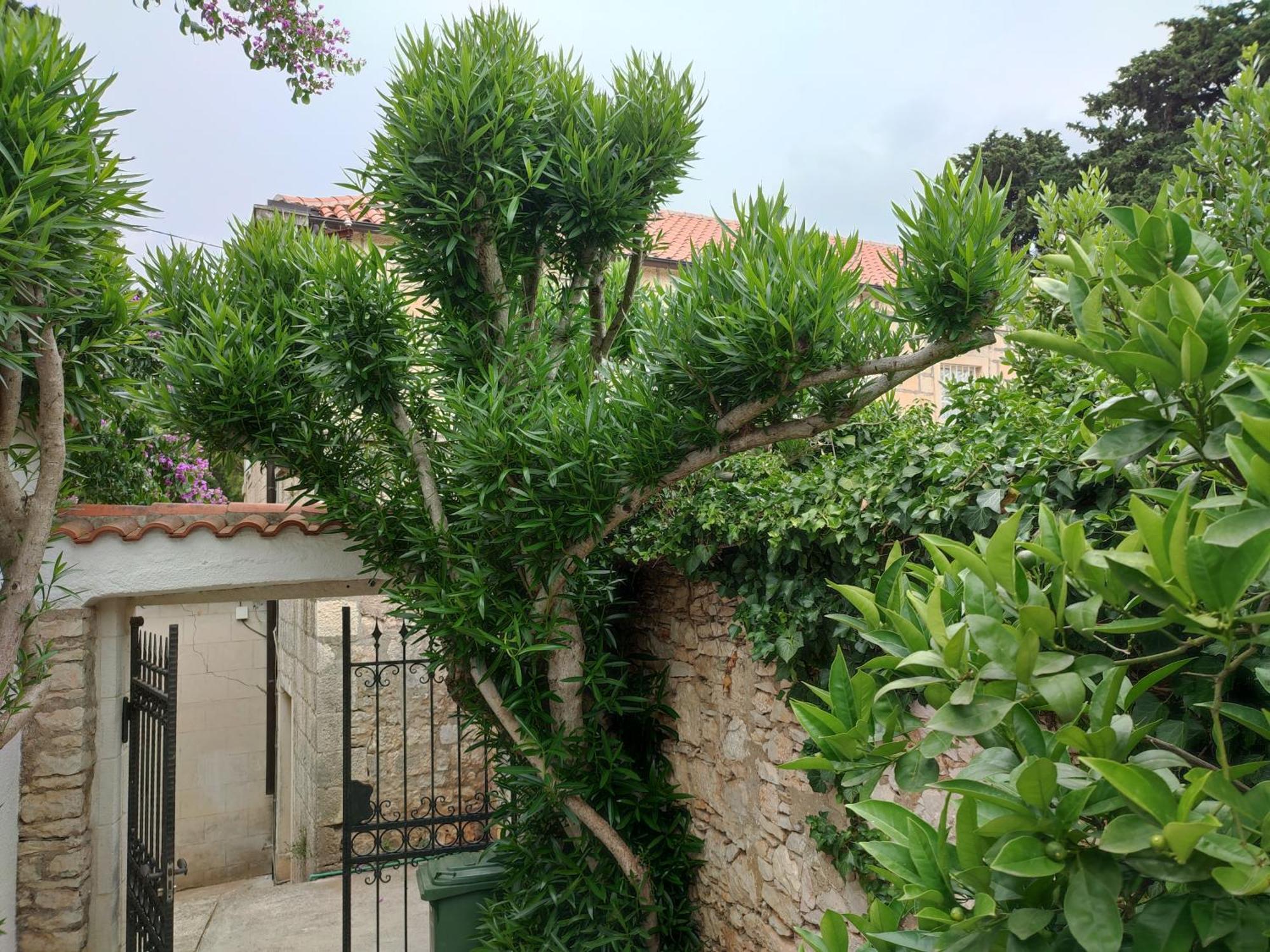 סוטיבאן Villa Rustika מראה חיצוני תמונה